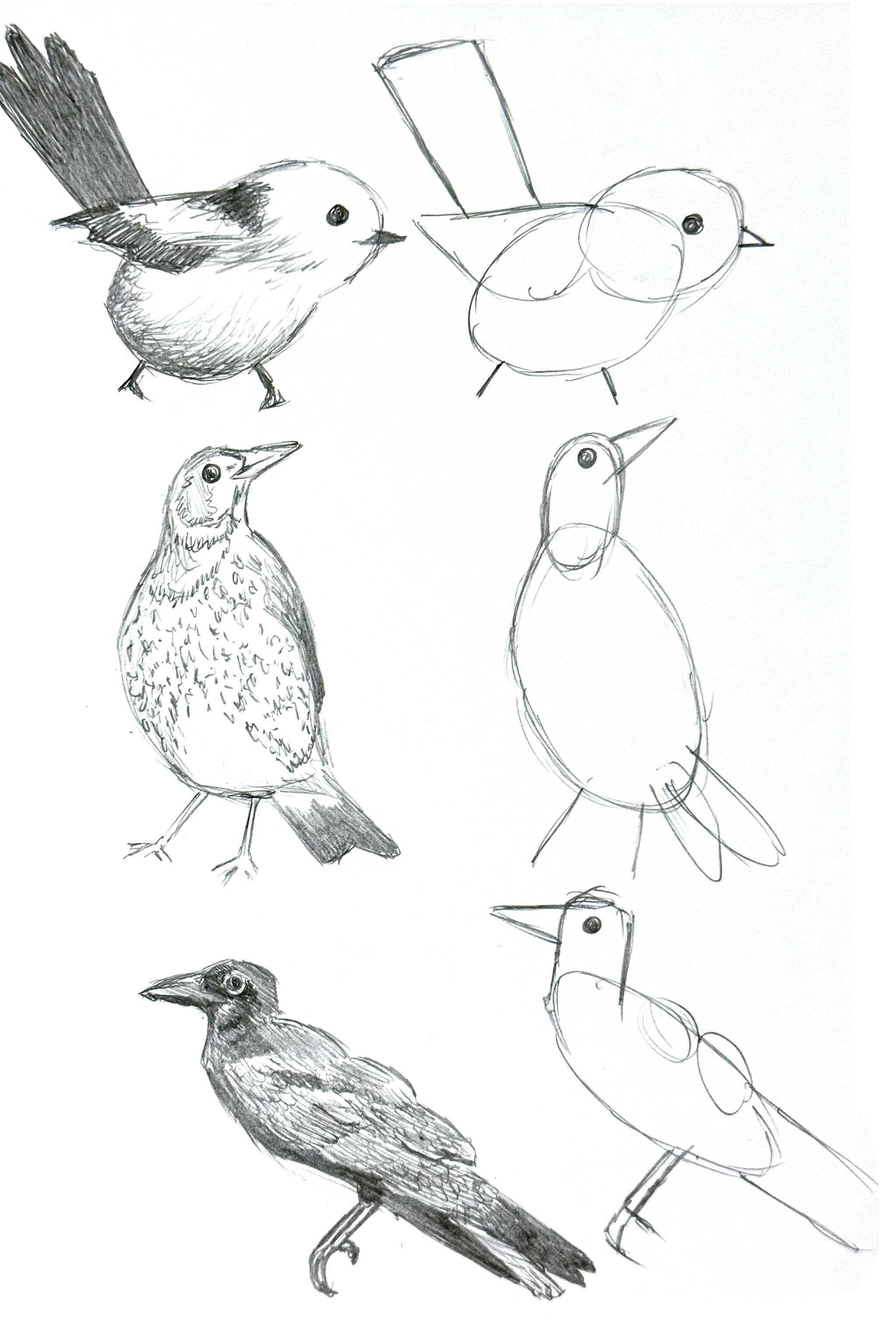 sketchbook page of initial ideas for birds