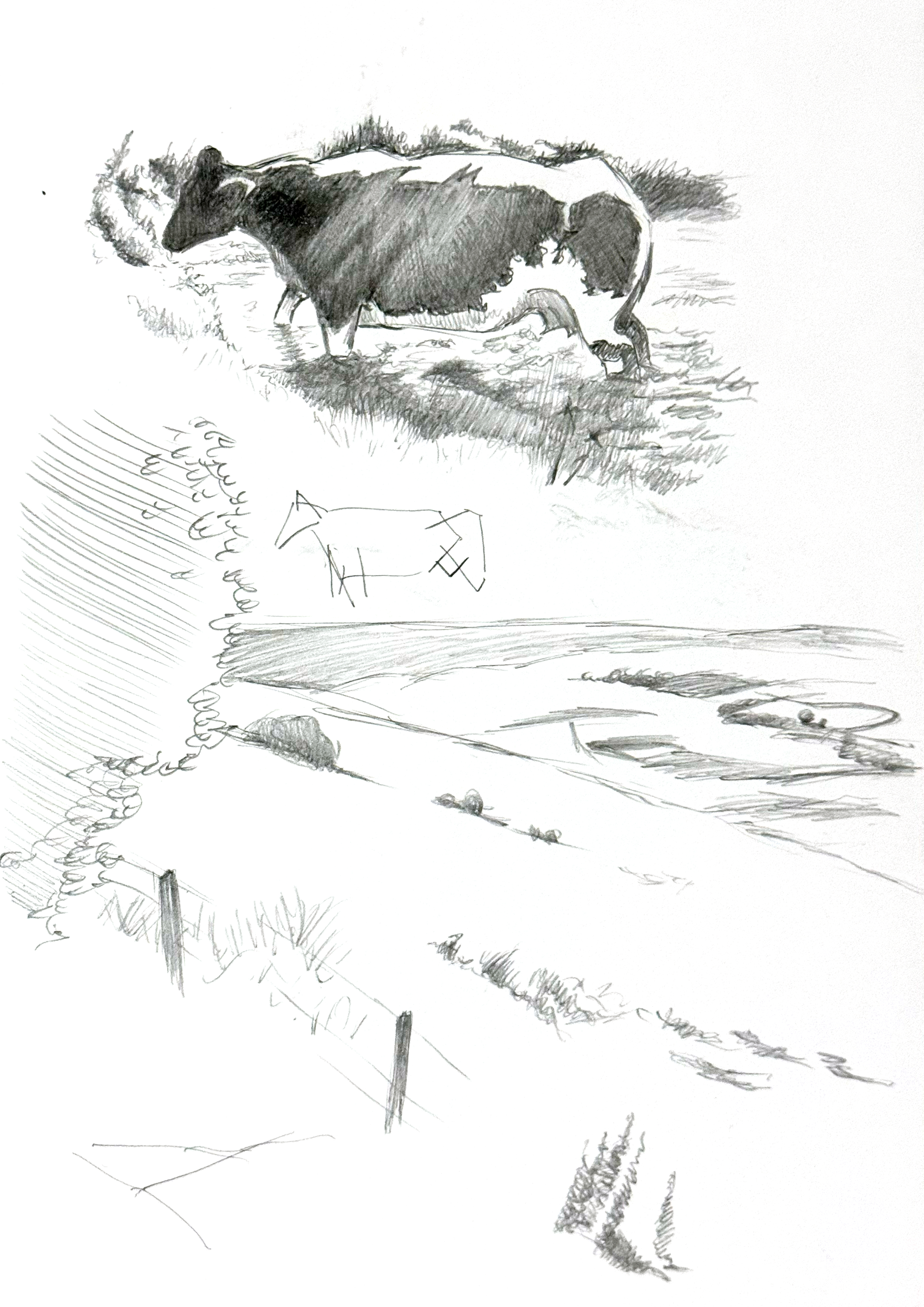 mam-tor drawing with cow