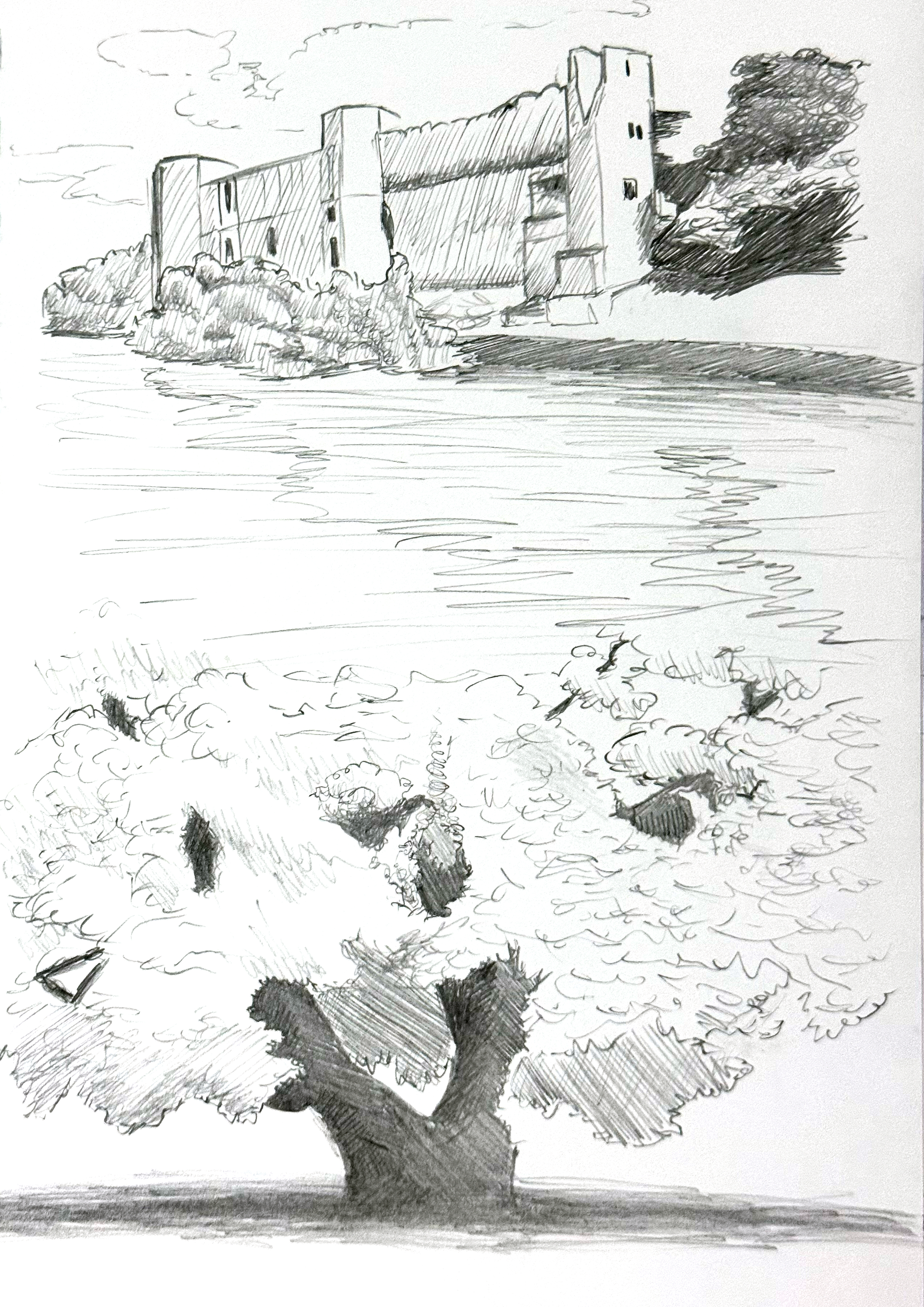 drawing of castle by river bank and major oak tree