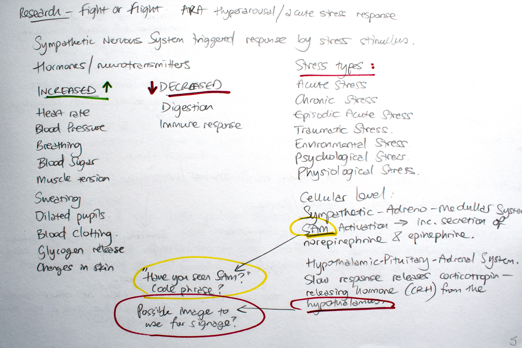 sketchbook page of research