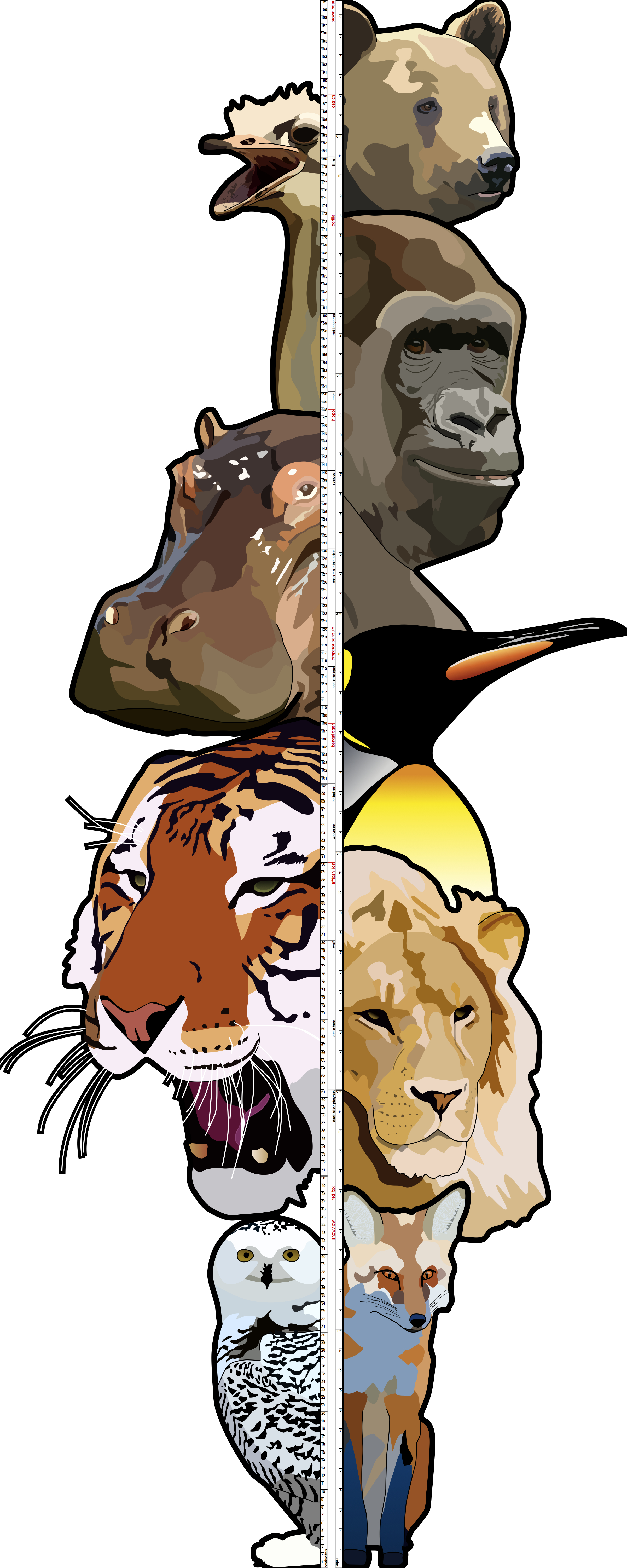 height chart with animals corresponding to height