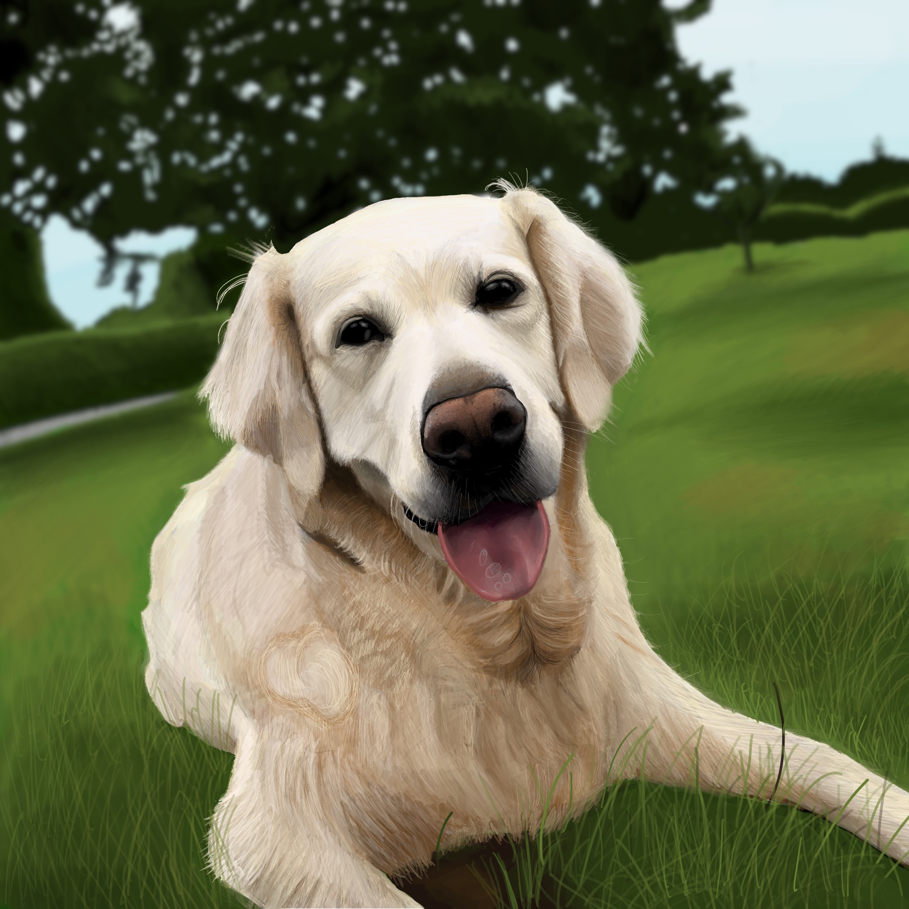 golden retriever lying in grass